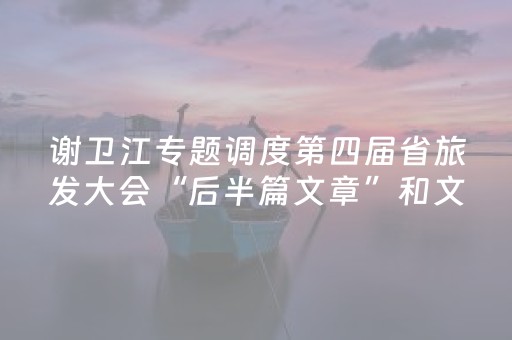 谢卫江专题调度第四届省旅发大会“后半篇文章”和文体旅促消费工作