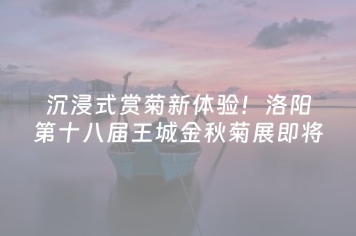 沉浸式赏菊新体验！洛阳第十八届王城金秋菊展即将开幕