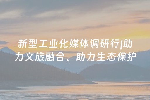 新型工业化媒体调研行|助力文旅融合、助力生态保护 数字技术为汉中城乡赋能