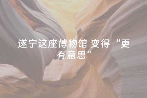 遂宁这座博物馆 变得“更有意思”