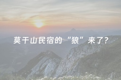 莫干山民宿的“狼”来了？