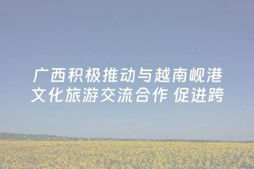 广西积极推动与越南岘港文化旅游交流合作 促进跨境航线升级‌