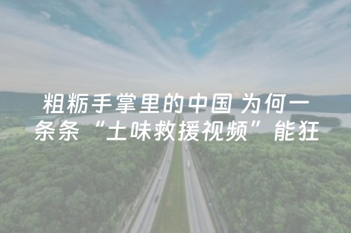 粗粝手掌里的中国 为何一条条“土味救援视频”能狂揽300万粉丝？