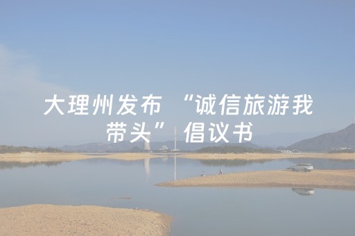 大理州发布 “诚信旅游我带头” 倡议书