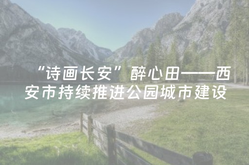 “诗画长安”醉心田——西安市持续推进公园城市建设