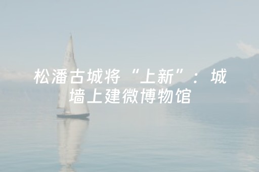 松潘古城将“上新”：城墙上建微博物馆，城墙内打造户外运动大本营