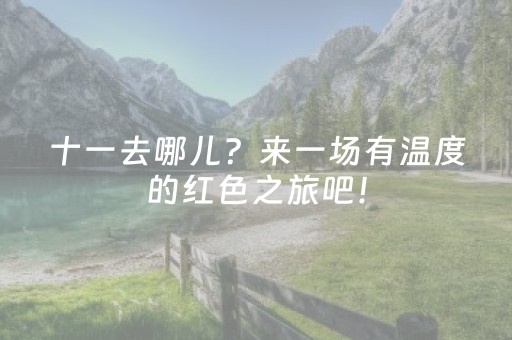 十一去哪儿？来一场有温度的红色之旅吧！