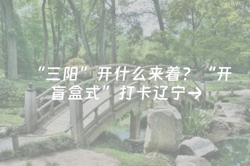 “三阳”开什么来着？“开盲盒式”打卡辽宁→