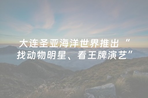 大连圣亚海洋世界推出“找动物明星、看王牌演艺”系列主题活动