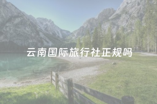 云南国际旅行社正规吗（云南国际旅行社正规吗多少钱）