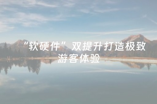 “软硬件”双提升打造极致游客体验