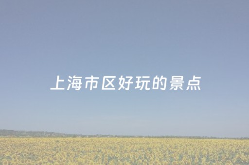 上海市区好玩的景点（上海市区好玩的景点排名）