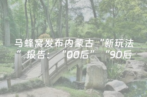 马蜂窝发布内蒙古“新玩法”报告：“00后”“90后”游客占比达43%