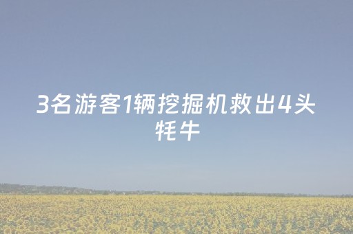 3名游客1辆挖掘机救出4头牦牛，帮牧民止损4万多元