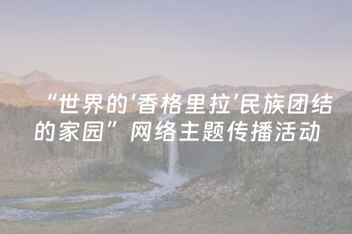 “世界的‘香格里拉’民族团结的家园”网络主题传播活动举行
