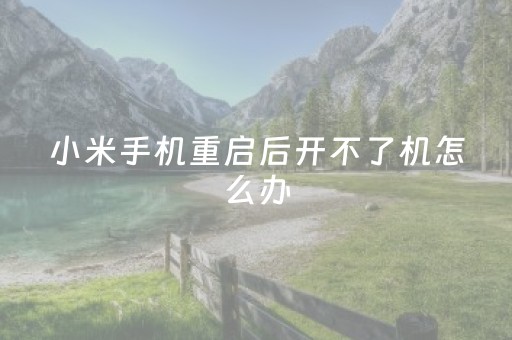 小米手机重启后开不了机怎么办（手机无限重启开不了机怎么办）