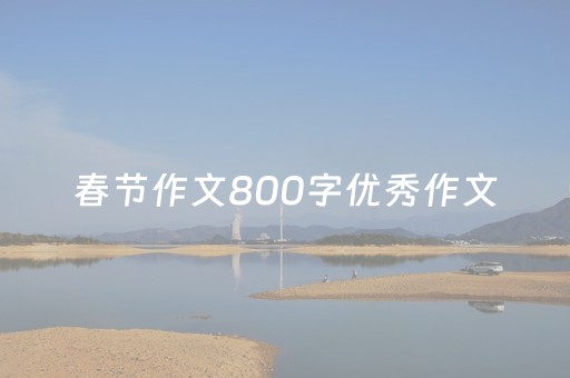 春节作文800字优秀作文（春节作文800字优秀作文高中）