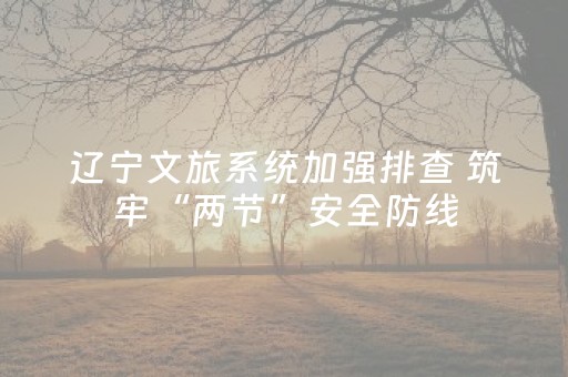 辽宁文旅系统加强排查 筑牢“两节”安全防线
