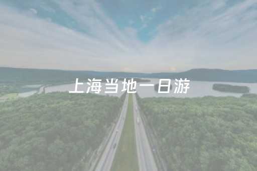 上海当地一日游（上海当地一日游158元贵不贵）