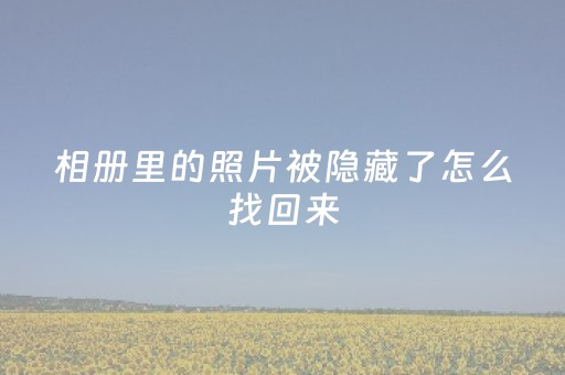 相册里的照片被隐藏了怎么找回来（相册照片被隐藏了怎么办）