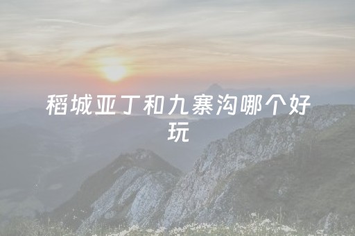 稻城亚丁和九寨沟哪个好玩（稻城亚丁和九寨沟哪个好玩点）