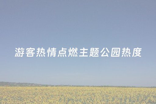 游客热情点燃主题公园热度