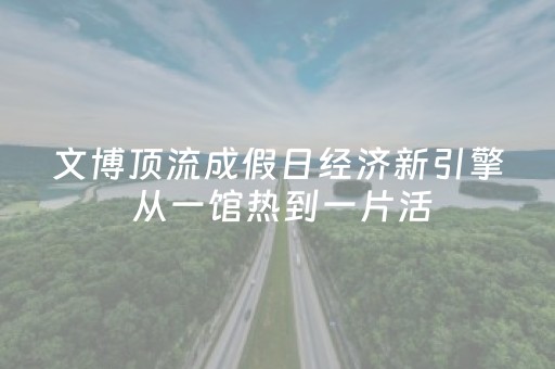 文博顶流成假日经济新引擎 从一馆热到一片活