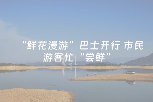 “鲜花漫游”巴士开行 市民游客忙“尝鲜”
