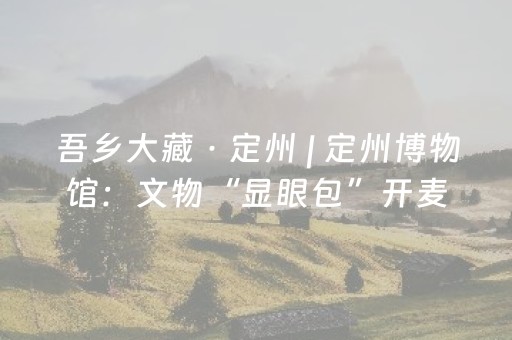 吾乡大藏 · 定州 | 定州博物馆：文物“显眼包”开麦