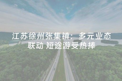 江苏徐州张集镇：多元业态联动 短途游受热捧