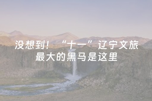 没想到！“十一”辽宁文旅最大的黑马是这里