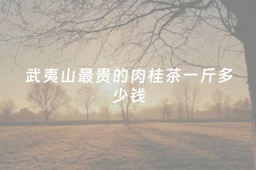 武夷山最贵的肉桂茶一斤多少钱（武夷山肉桂是什么茶多少钱一斤）