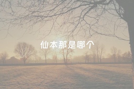 仙本那是哪个
（仙本那是哪个
的景点）