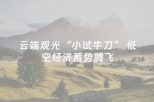 云端观光“小试牛刀” 低空经济蓄势腾飞