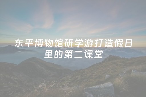 东平博物馆研学游打造假日里的第二课堂