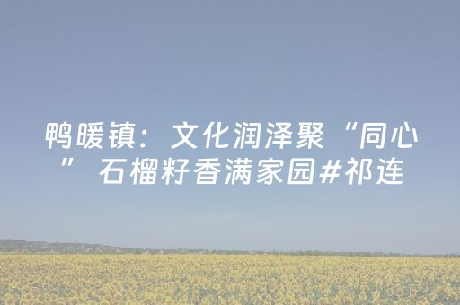 鸭暖镇：文化润泽聚“同心” 石榴籽香满家园#祁连山下是我家#