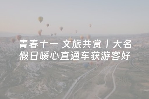 青春十一 文旅共赏丨大名假日暖心直通车获游客好评