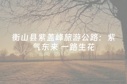 衡山县紫盖峰旅游公路：紫气东来 一路生花