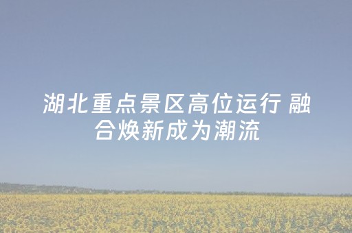 湖北重点景区高位运行 融合焕新成为潮流
