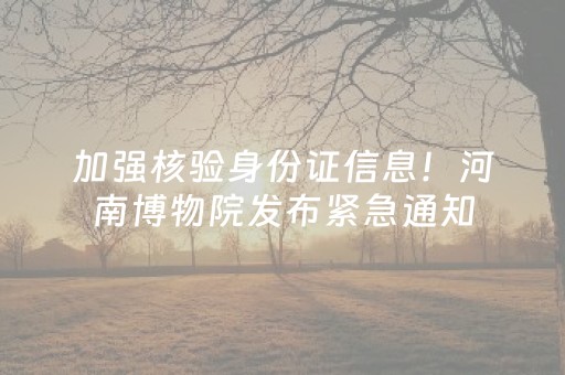 加强核验身份证信息！河南博物院发布紧急通知