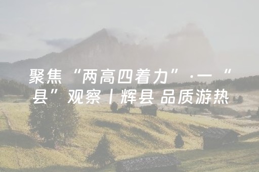 聚焦“两高四着力”·一“县”观察丨辉县 品质游热力攀升