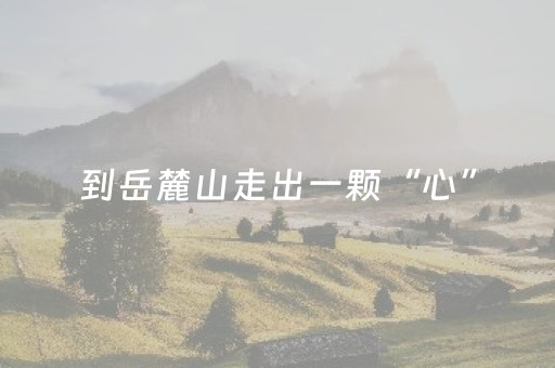 到岳麓山走出一颗“心”