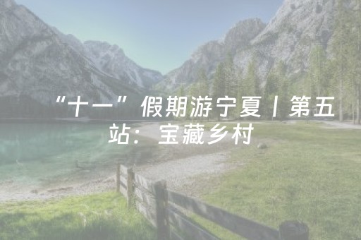 “十一”假期游宁夏丨第五站：宝藏乡村