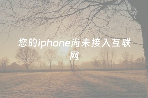 您的iphone尚未接入互联网（苹果手机显示未接入互联网怎么办）