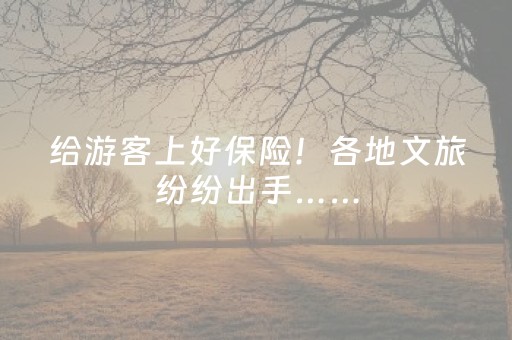 给游客上好保险！各地文旅纷纷出手……
