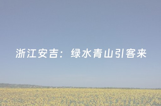 浙江安吉：绿水青山引客来