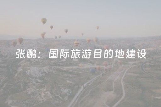 张鹏：国际旅游目的地建设，“可持续”是核心词