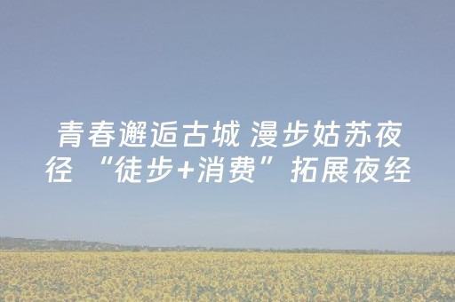 青春邂逅古城 漫步姑苏夜径 “徒步+消费”拓展夜经济新模式