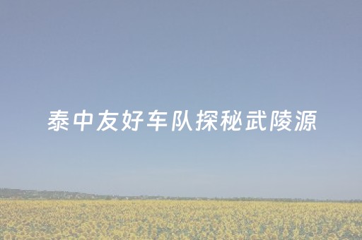 泰中友好车队探秘武陵源