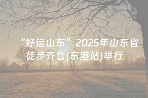 “好运山东”2025年山东省徒步齐鲁(东港站)举行